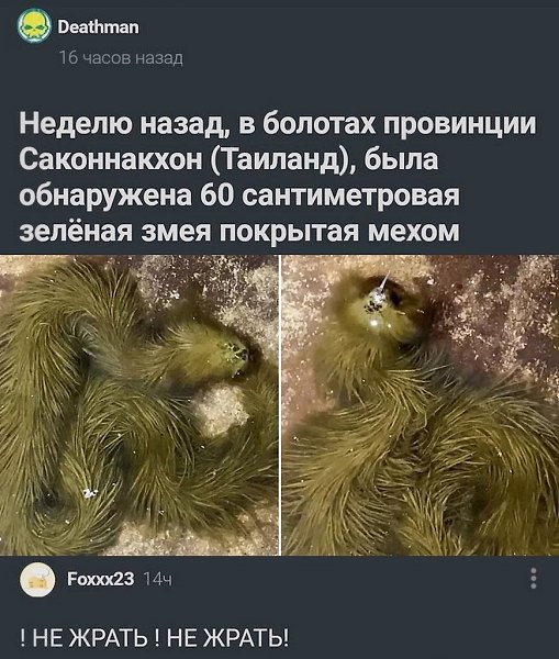 ������- ��������� ��� ��� �����. ����� ��������. ��� ��������� �������� �� ����.��������������