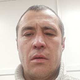 , , 46 