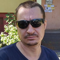 , , 43 