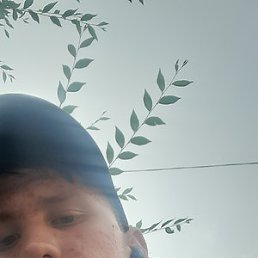 Dfcz, , 21 