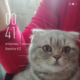 , , 52 