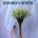 ���� ������, ���������� - ��������� 28 ��� 2022 � ������ ������ ��������