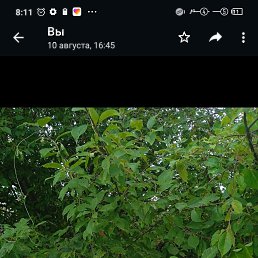  , , 49  -  23  2022