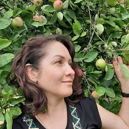 ���, �����������, 48 ���