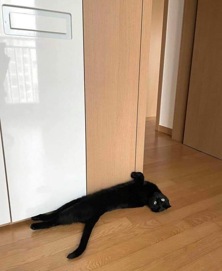  ,   ,    .))