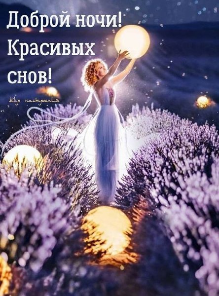   - 15  2022  23:00