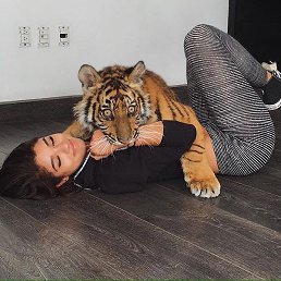 ��������, �������, 43 ����