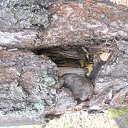  ***L***,   -  3  2022    24-25  2022 .