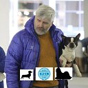 ���� ����, �����-��������� - ��������� 6 ������ 2022 � ������ ������ ��������