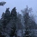 ������ ����� � ������� �� ������� ������� ����� � �������