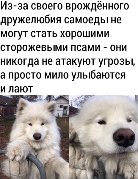����� | ������������ ���������� - 14 ����� 2022 � 17:09