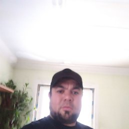 �����, ������, 41 ���