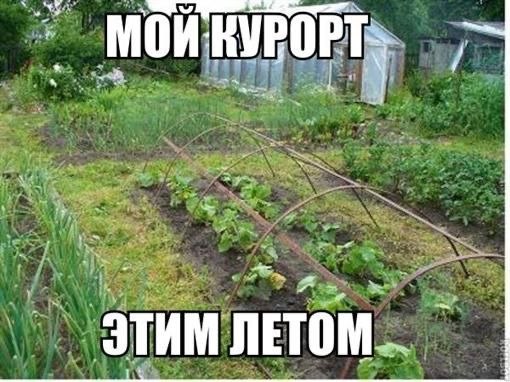   - 24  2022  09:29