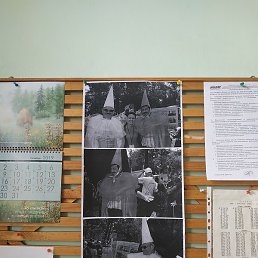 �����, ������, 66 ���