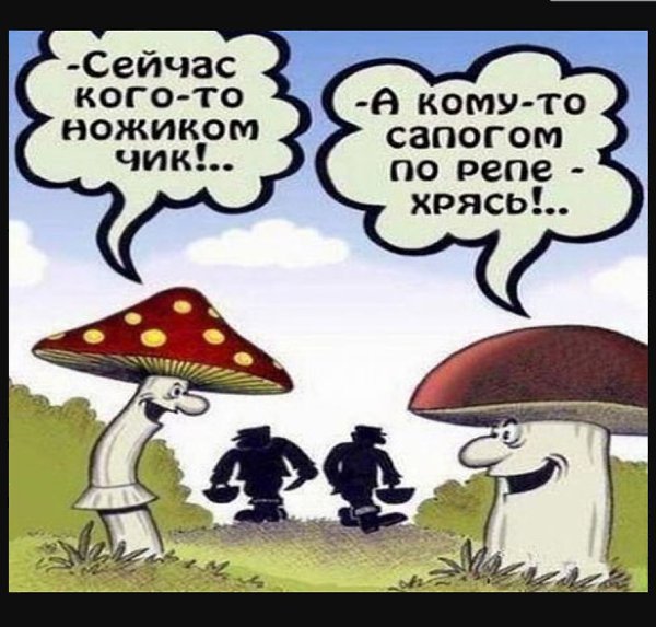  - 6  2022  22:00