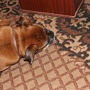 ���� ������, ���������, 54 ���� - ��������� 7 ������� 2023