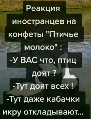  - 26  2022  22:19