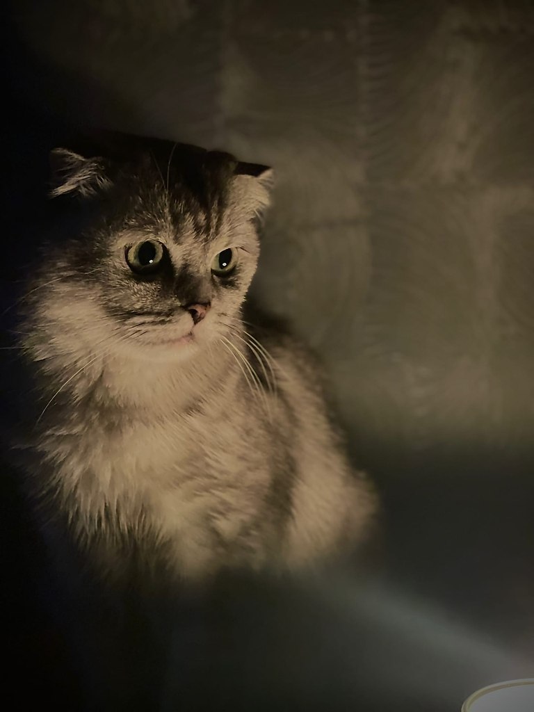 � �����.� ������� ���� - 2