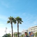 ���� Marius, �������, 33 ���� - ��������� 22 ������� 2022