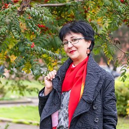 ���� ����, ������, 58 ��� - ��������� 8 ������ 2023