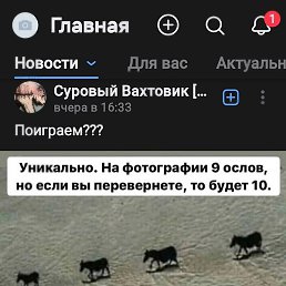 ������, ������, 43 ����