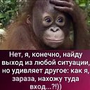 ���� **N**, ������� - ��������� 10 ������� 2022 � ������ ������ ��������