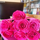  , -, 52  -  15  2023    