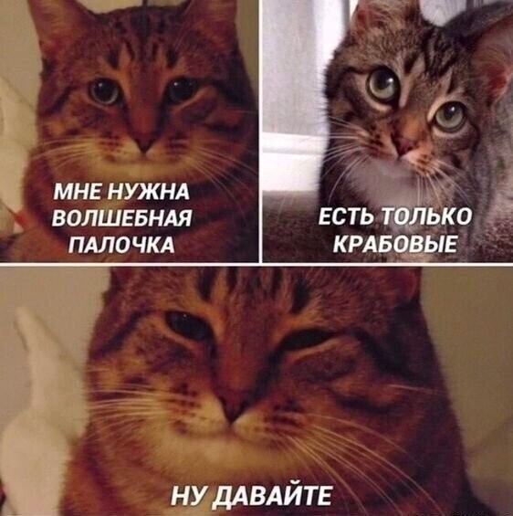    - 2  2023  02:15