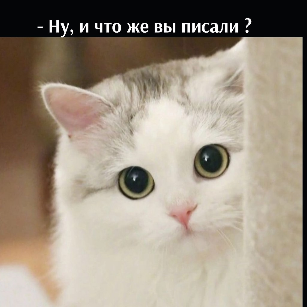       - 23  2022  16:21 - 2