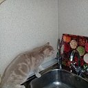 ���� Sasha, ������ ��������, 56 ��� - ��������� 14 �������� 2022 � ������ ���������