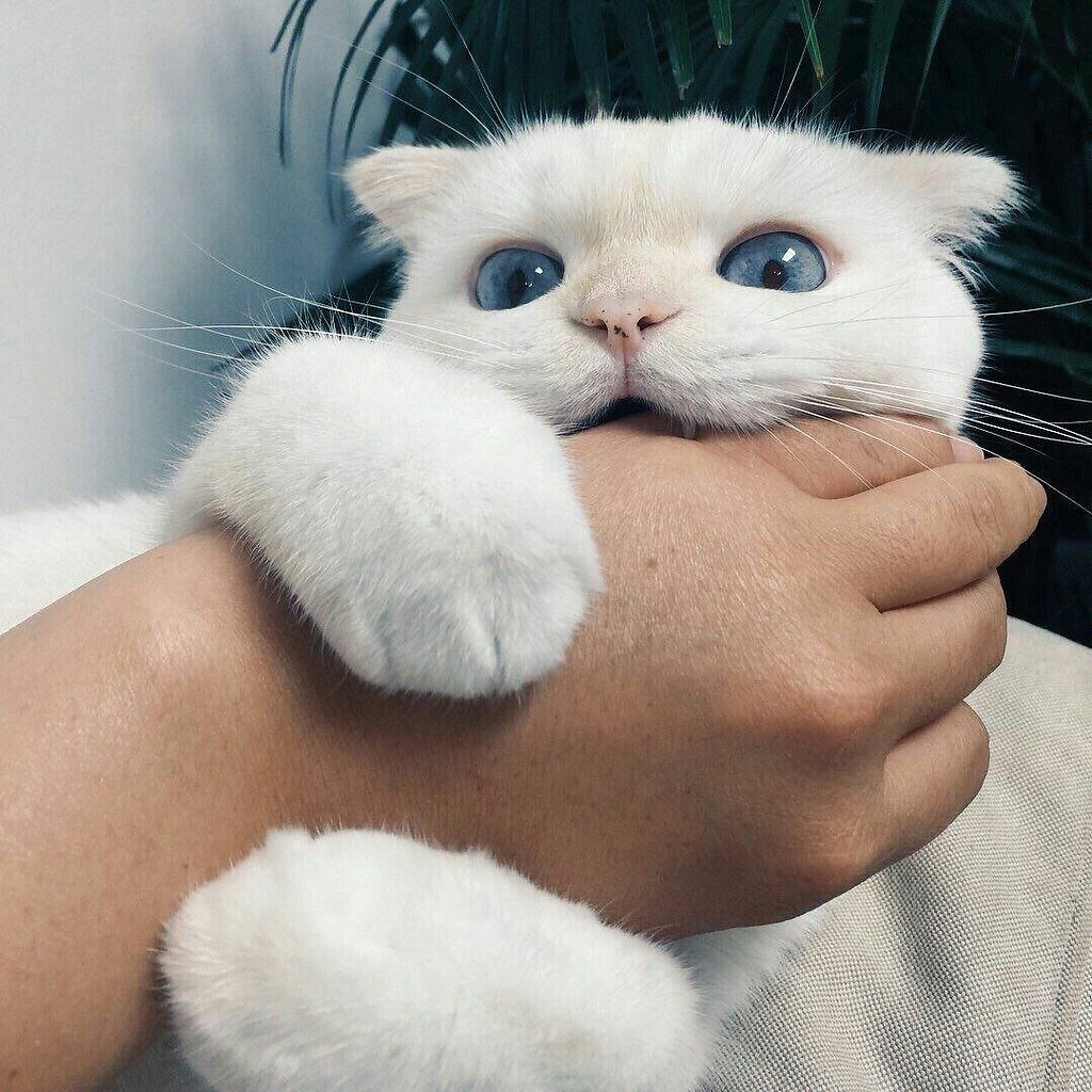  -  ! - 3