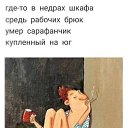  , , 52  -  16  2022    