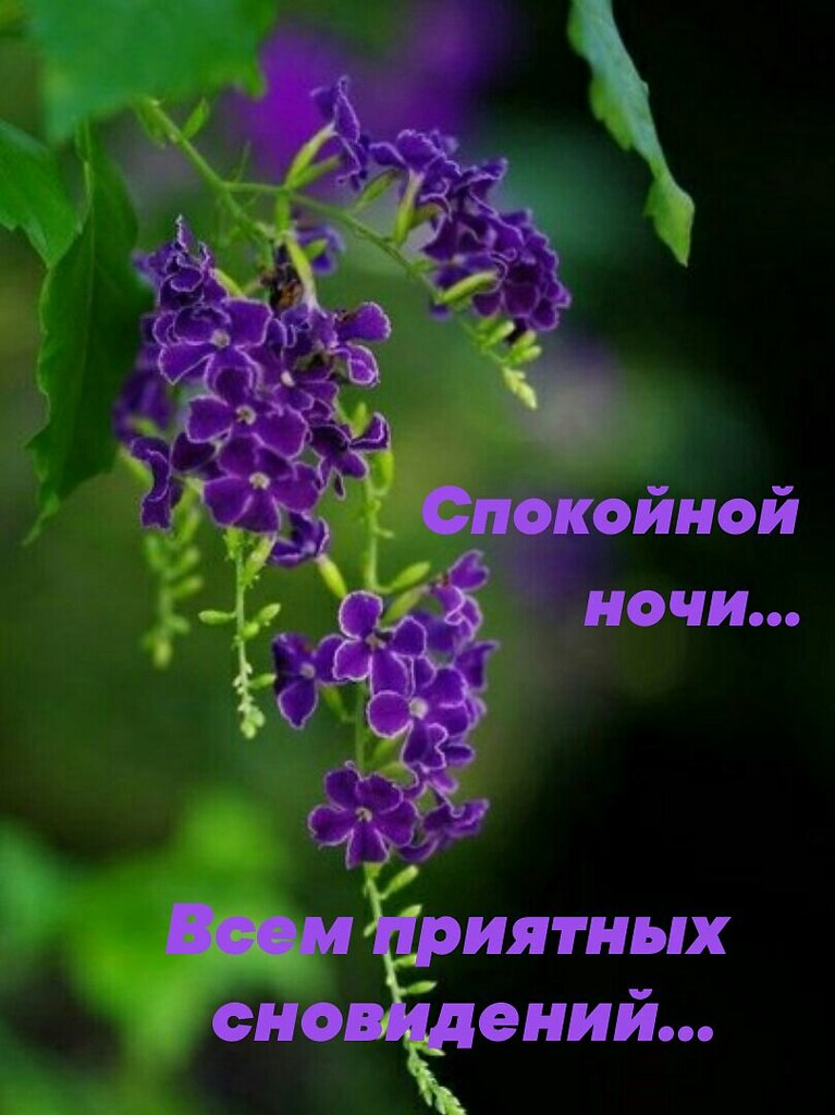   ,    . - 26  2022  22:50 - 3