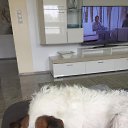 ���� Boris, �������� - ��������� 3 ������� 2022 � ������ ���� ����������
