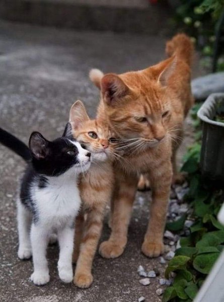 :)  ...    ,     .    ...