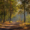 ���� Aleks, �������, 55 ��� - ��������� 5 ������� 2022