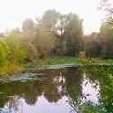 ���� �������, ���������, 66 ��� - ��������� 30 ������� 2022 � ������ ���� ����������