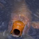 �������! ����� ��� �������!! =)) �� ������� ���� ����������