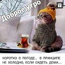 ���� ������, �����-��������� - ��������� 20 ������ 2022 � ������ ���� ����������