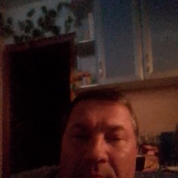 , 53 , -