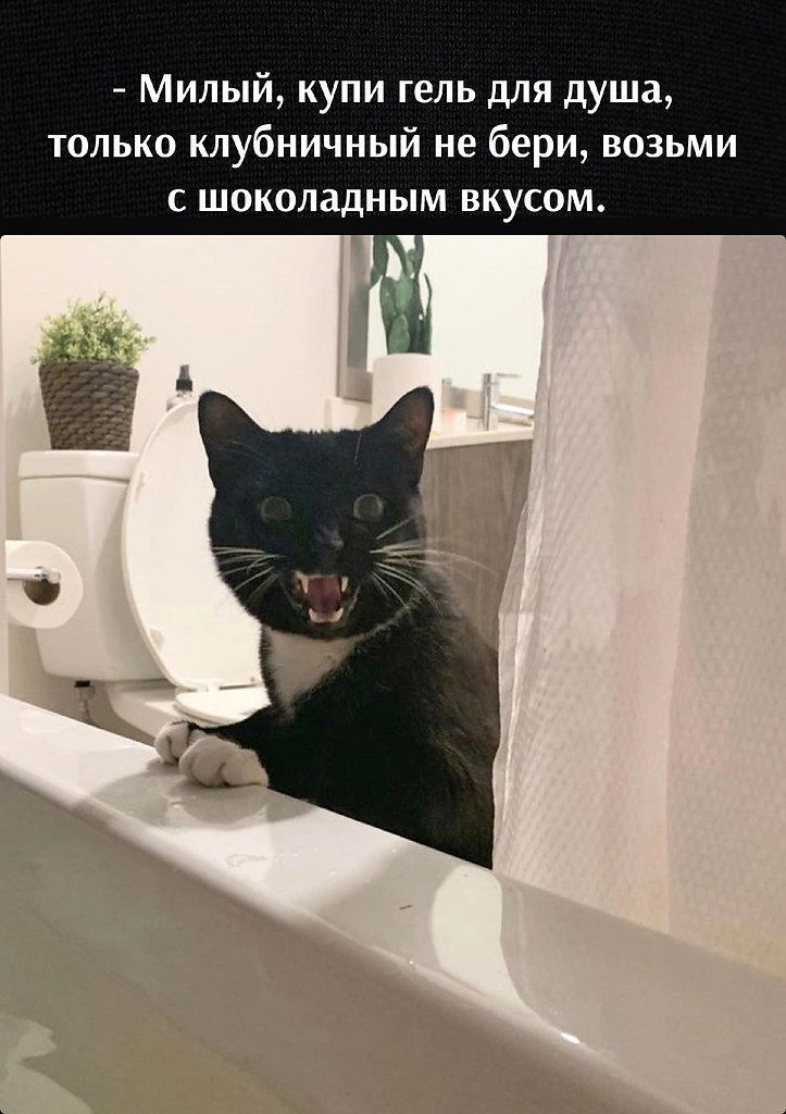       - 14  2023  15:55