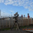  Semvikt, , 55  -  19  2022   ߻