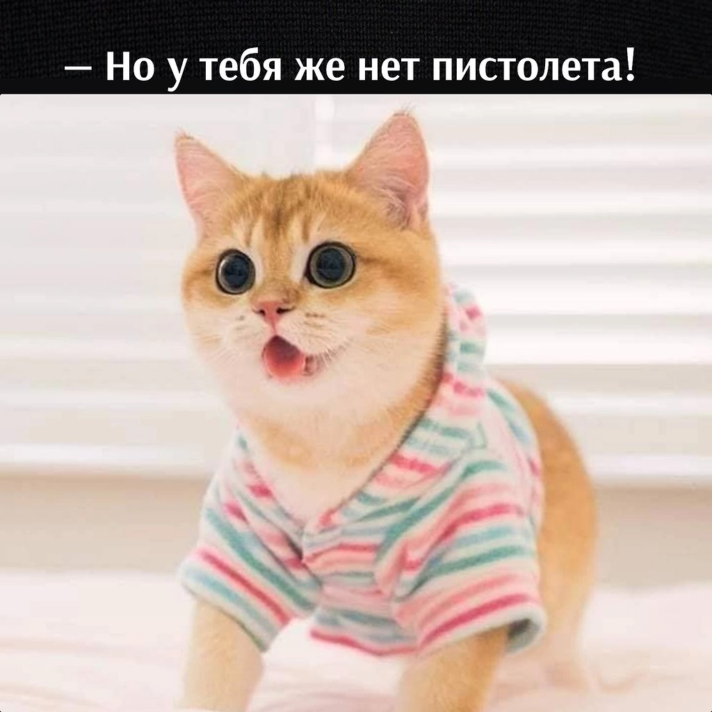       - 11  2023  11:12 - 2