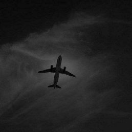 Jaxonbek, ������, 21 ���