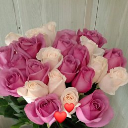 Svetlana, ������