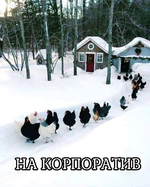  - 26  2022  10:52