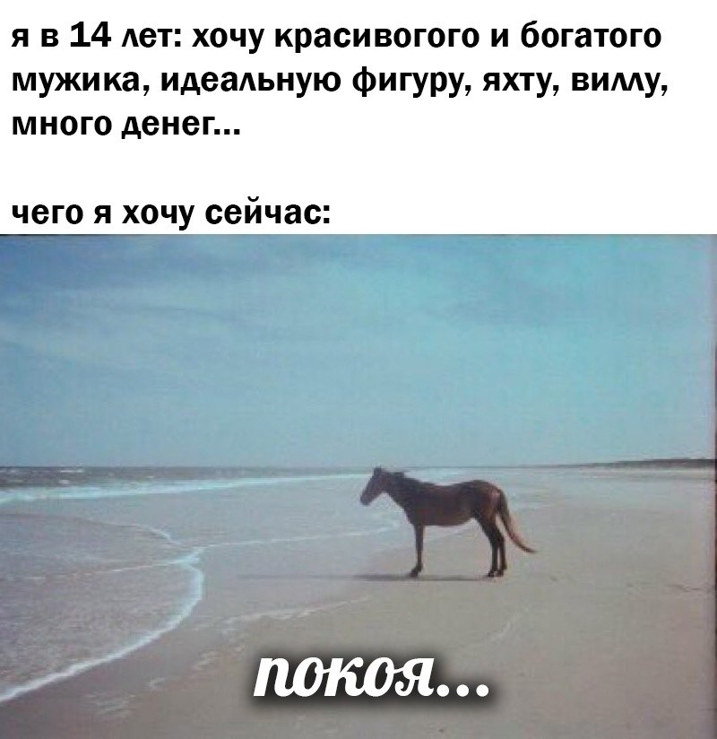 Мем конь почему