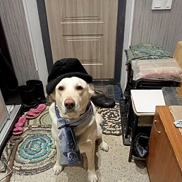 ���� ����, ������, 51 ��� - ��������� 15 ������� 2023