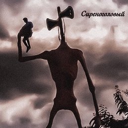 Aleksei, �����������, 23 ����