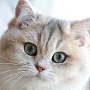 ���� ������, ���������, 58 ��� - ��������� 12 ������� 2022 � ������ ���� ����������